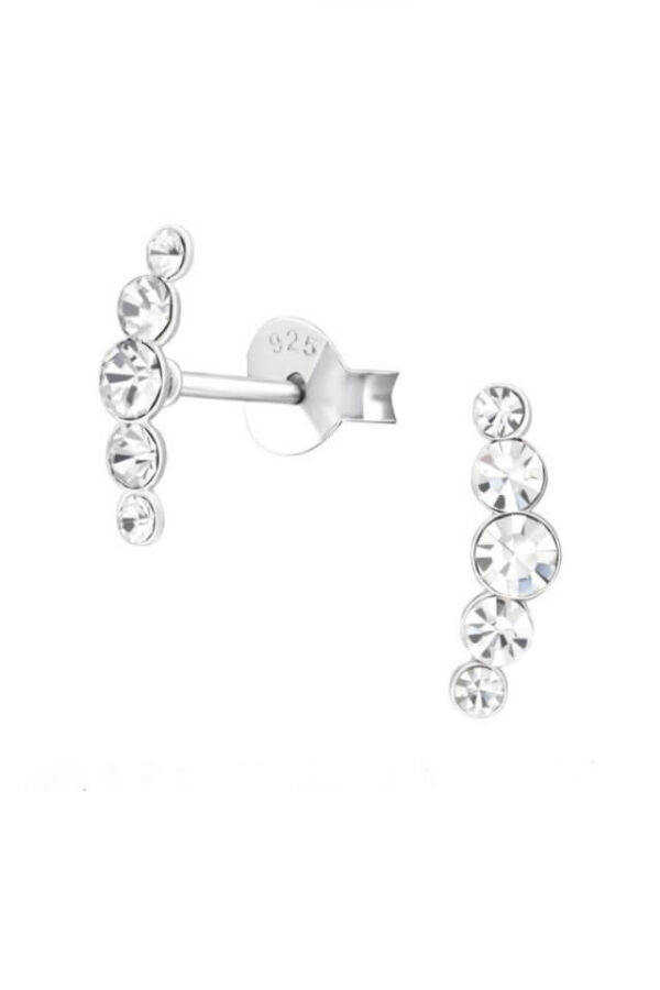 Cercei din argint 925 Shinny Zircon cu pietre de zirconiu
