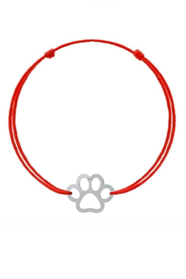 paw001